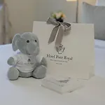 Pont Royal 5*